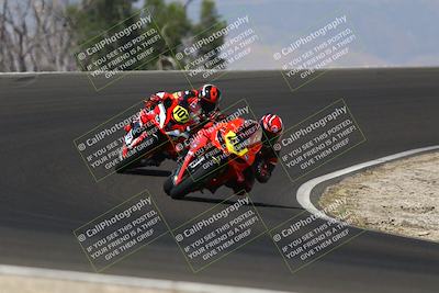 media/Jul-19-2025-TrackDaz (Sat) [[ff1509a44a]]/A Group/11am (Turn 2)/